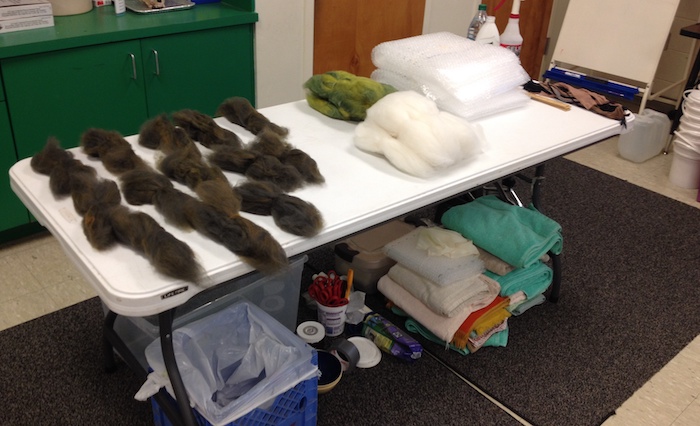 Bringing the felt studio into the classroom..including all the wool weighed out for the surface area the students will layout and lots of towels!