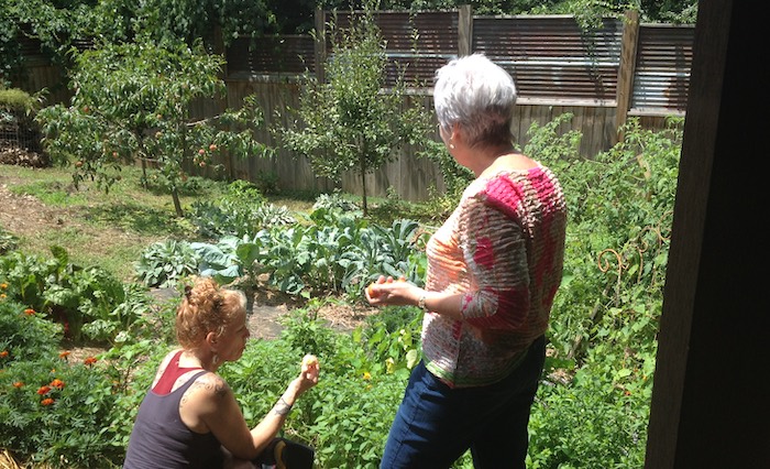 Workshop participants enjoying the garden during lunch and depending on what is ripe at the time, partaking!