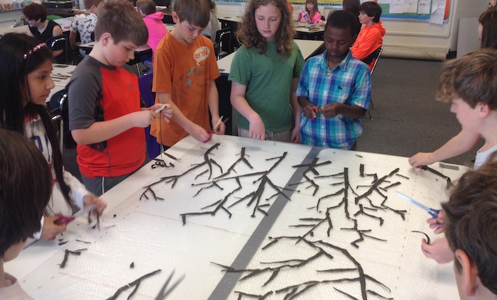 Students working in small groups to arrange their branch pieces in a gradation from widest to the most delicate tips